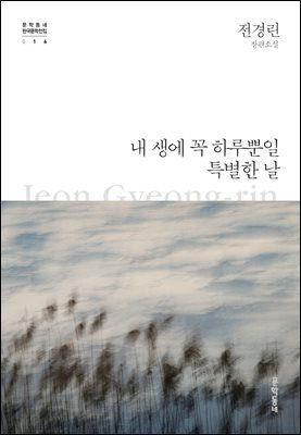 내 생에 꼭 하루뿐일 특별한 날 - 한국문학전집 016
