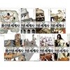 교양으로 읽는 용선생 세계사 1~8권 세트
