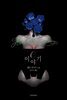 O 이야기