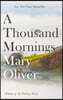A Thousand Mornings