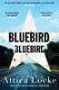Bluebird, Bluebird