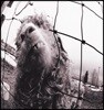 Pearl Jam (펄잼) - VS. [Expanded Edition] (2017 Packaging)