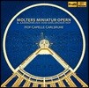 Hof-Capelle Carlsruhe 칼스루에 궁정의 음악 - 몰터 / 보디누스 / 치아티 / 슈미트바우어: 기악곡과 실내악, 아리아 (Molters Miniatur-Opern & Kammermusik von Karlsruher Hof)