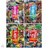 최강왕 배틀 세트 (전4권) : 동물/곤충/공룡/위험 생물 대백과