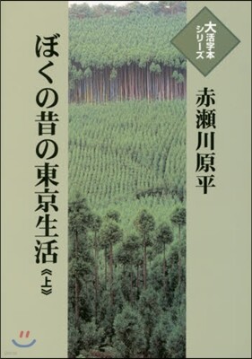 ぼくの昔の東京生活(上)