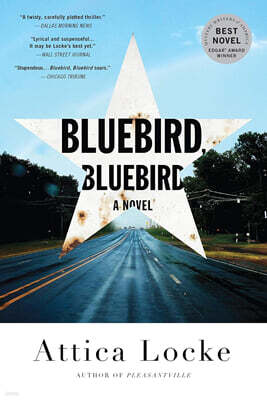Bluebird, Bluebird
