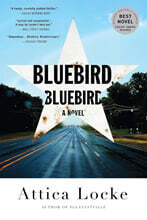 Bluebird, Bluebird
