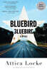 Bluebird, Bluebird