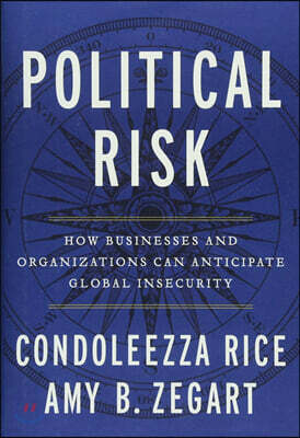Political Risk: How Businesses and Organizations Can Anticipate Global Insecurity
