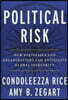 Political Risk: How Businesses and Organizations Can Anticipate Global Insecurity