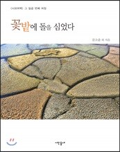 꽃밭에 돌을 심었다