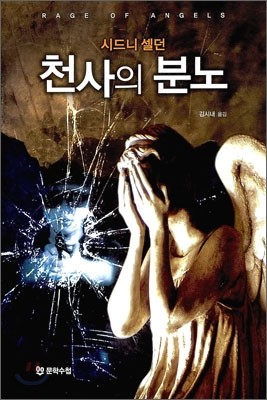 천사의 분노