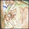 Bonnie 'Prince' Billy (보니 프린스 빌리) - Wolf of the Cosmos