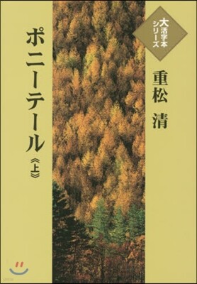 ポニ-テ-ル(上)