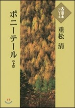 ポニ-テ-ル(上)