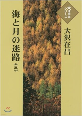 海と月の迷路(3)