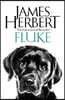 Fluke