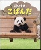 だいすきこぱんだ