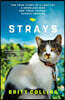Strays: The True Story of a Lost Cat, a Homeless Man, and Their Journey Across America