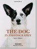 The Dog in Photography 1839-Today