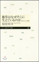 雜草はなぜそこに生えているのか