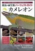 カメレオン