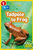 National Geographic Readers: Tadpole to Frog (L1/Coreader)