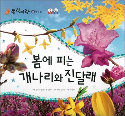 동식이랑 56 봄에 피는 개나리와 진달래