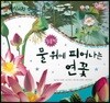 동식이랑 60 물 위에 피어나는 연꽃 필름책