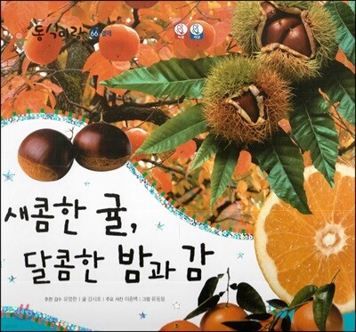 동식이랑 66 새콤한 귤, 달콤한 밤과 감