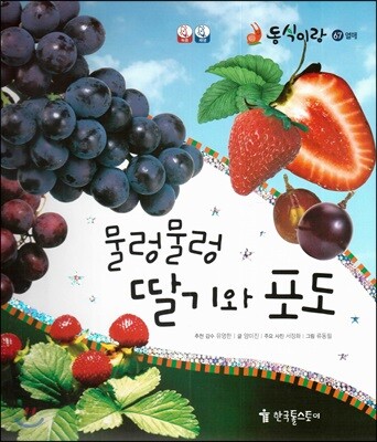 동식이랑 67 물렁물렁 딸기와 포도
