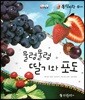 동식이랑 67 물렁물렁 딸기와 포도