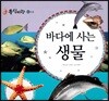 동식이랑 82 바다에 사는 생물