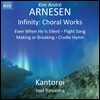 Kantorei / Joel Rinsema 킴 안드레 아르네센: 합창음악 작품집 (Kim Andre Arnesen: Infinity - Choral Works)