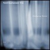 Tord Gustavsen Trio (토드 구스타브센 트리오) - Changing Places