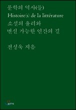 문학의 역사(들)