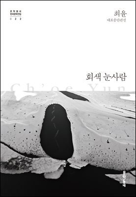 회색 눈사람 - 한국문학전집 022