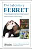 Laboratory Ferret