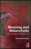 Meaning and Melancholia