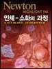 인체 - 소화의 과정 - Newton Highlight 114