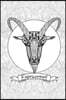 Color My Cover Horoscope Journal - Capricorn: 100 page 6" x 9" Ruled Notebook: Coloring Journal, Blank Notebook, Blank Journal, Lined Notebook, Blank