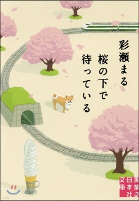 櫻の下で待っている