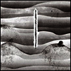 Cornelius - Mellow Waves (Gatefold Cover)(180G)(LP)
