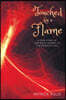 Touched by a Flame: A True Story of One Man's Journey in the World of God