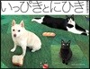 いっぴきとにひき