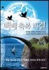 백배 축복 비결