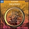 Jaap van Zweden 바그너: 지그프리드 - 얍 반 츠베덴 (Wagner: Siegfried)