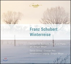 Gregor Meyer 슈베르트: 겨울나그네 - 바리톤, 합창과 피아노를 위한 편곡판 (Schubert: Winterreise - Version for Baritone, Choir and Piano)