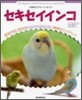 小動物ビギナ-ズガイド セキセイインコ