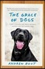 The Grace of Dogs: A Boy, a Black Lab, and a Father's Search for the Canine Soul